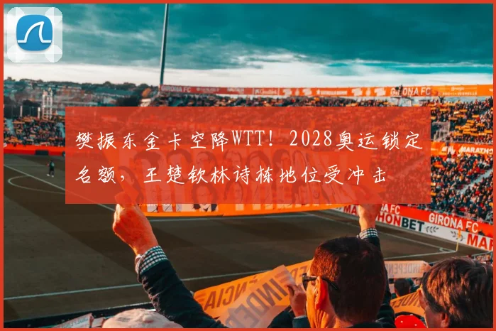 樊振东金卡空降WTT!2028奥运锁定名额,王楚钦林诗栋地位受冲击