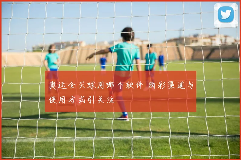奥运会买球用哪个软件 购彩渠道与使用方式引关注