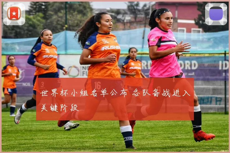 世界杯小组名单公布 各队备战进入关键阶段