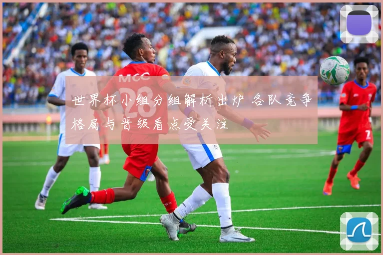 世界杯小组分组解析出炉 各队竞争格局与晋级看点受关注