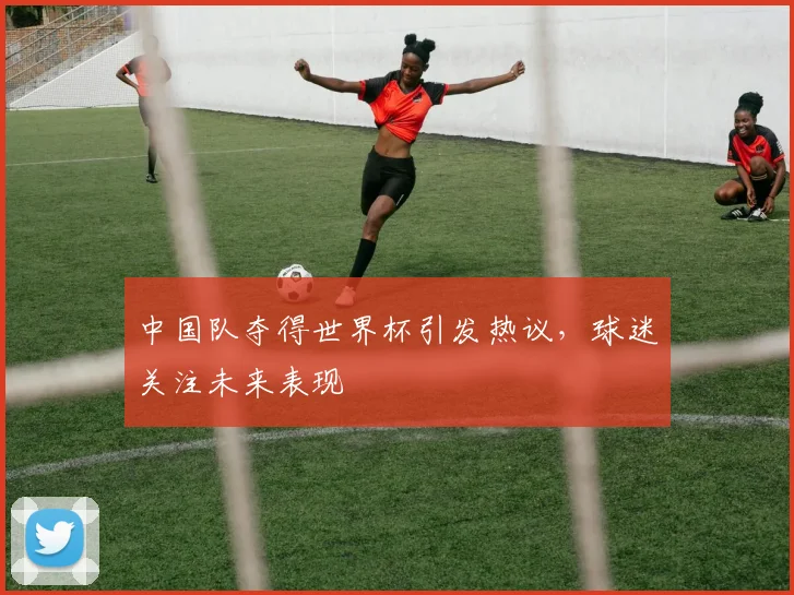 中国队夺得世界杯引发热议，球迷关注未来表现