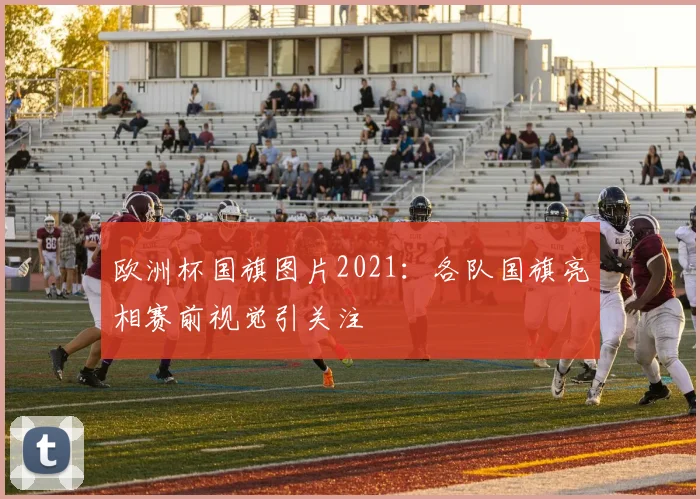 欧洲杯国旗图片2021:各队国旗亮相赛前视觉引关注