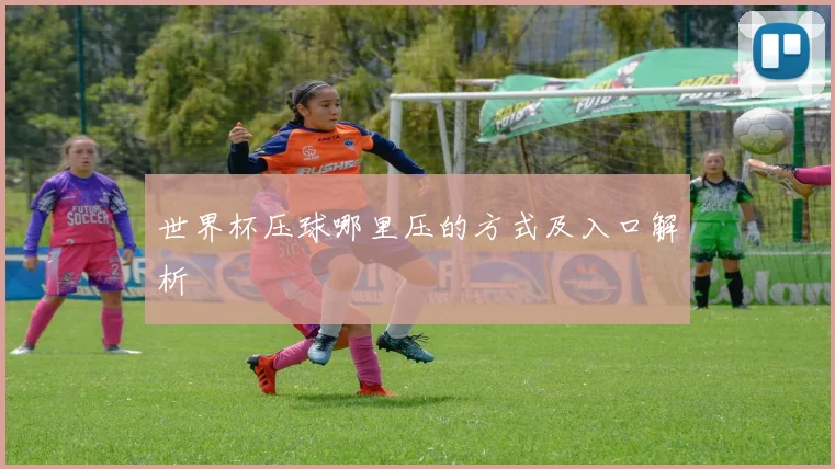 世界杯压球哪里压的方式及入口解析