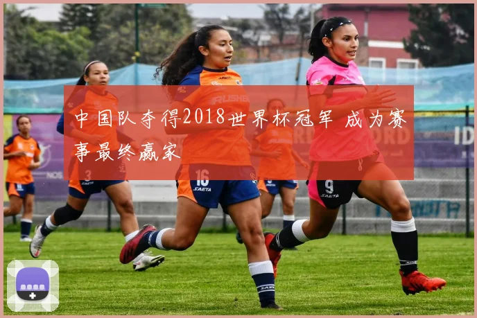 中国队夺得2018世界杯冠军 成为赛事最终赢家